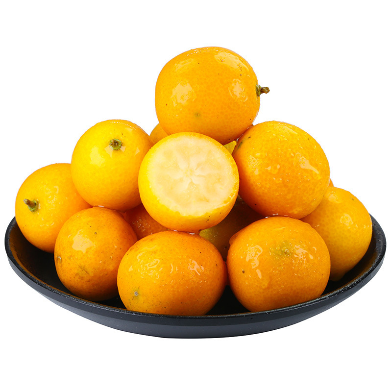 【厂货通】广西融安脆皮小金桔 新鲜水果滑皮金橘小油皮桔子代发