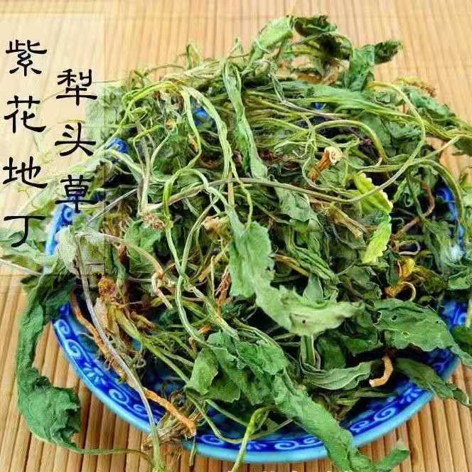 秦岭铧头草野生药材新鲜晒干干货犁头草铧头草紫花地丁包邮