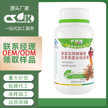 保健品oem蓝帽代加工贴牌蝙蝠蛾拟青霉菌丝体胶囊增强免疫力