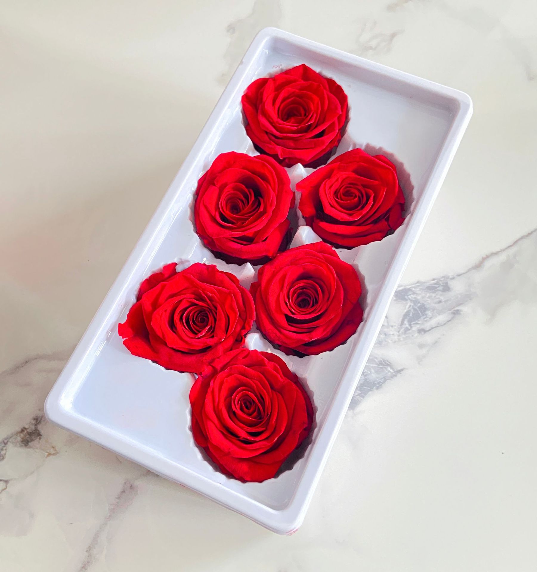 永生花玫瑰花头diy花材b级5-6厘米6朵/盒情人节礼物制作材料