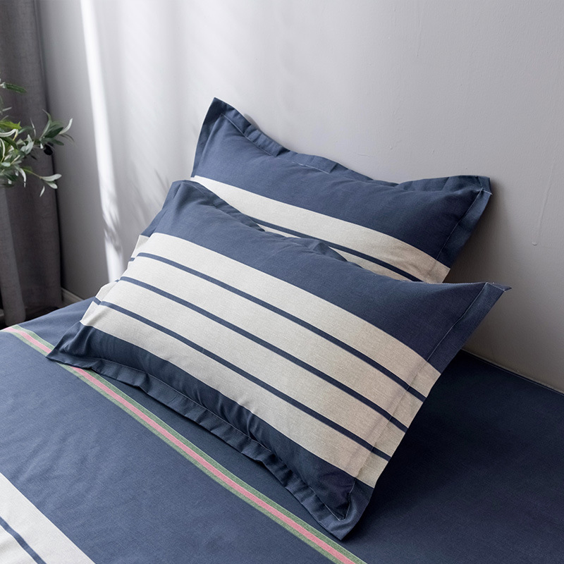 枕套一对装枕头套春夏水洗棉磨毛现代简约四件套枕芯批发彩红家纺