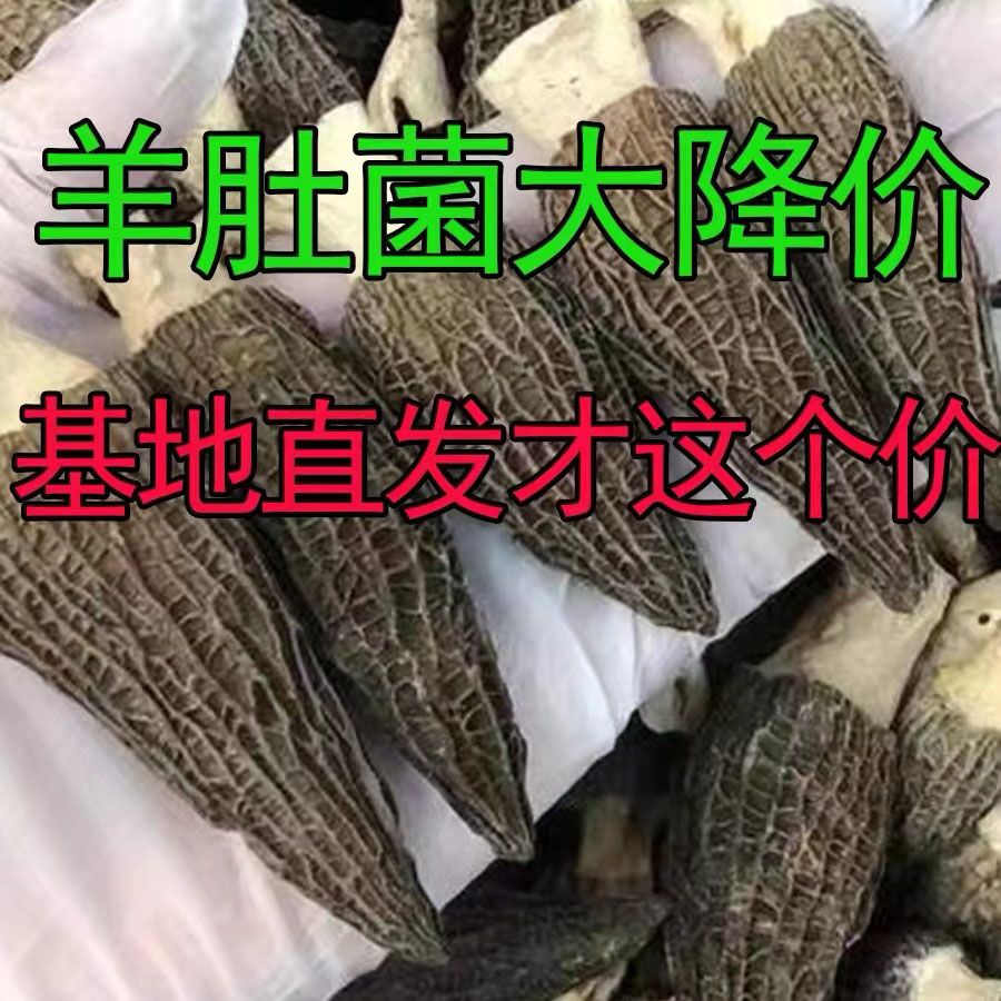 羊肚菌干货150g云南特产新鲜菌菇礼盒羊肚菇干蘑菇煲汤食材旗舰店