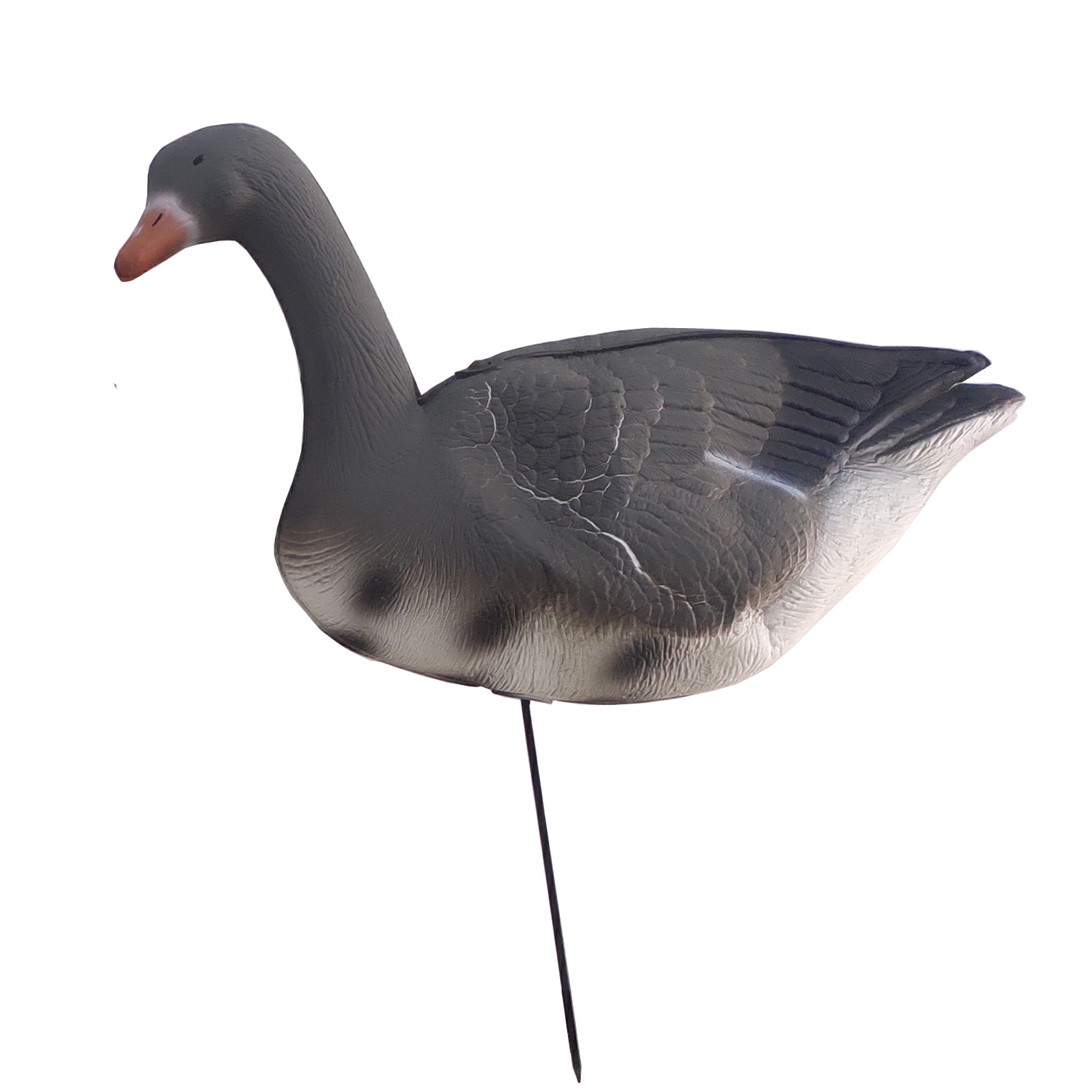 eva诱饵鹅动物仿生鹅户外狩猎诱饵灰色鹅 亚马逊ebay