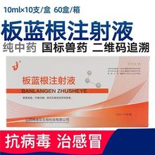 板蓝根注射液抗病毒治感冒家畜流感仔猪白痢肺炎热性疾患清热解毒