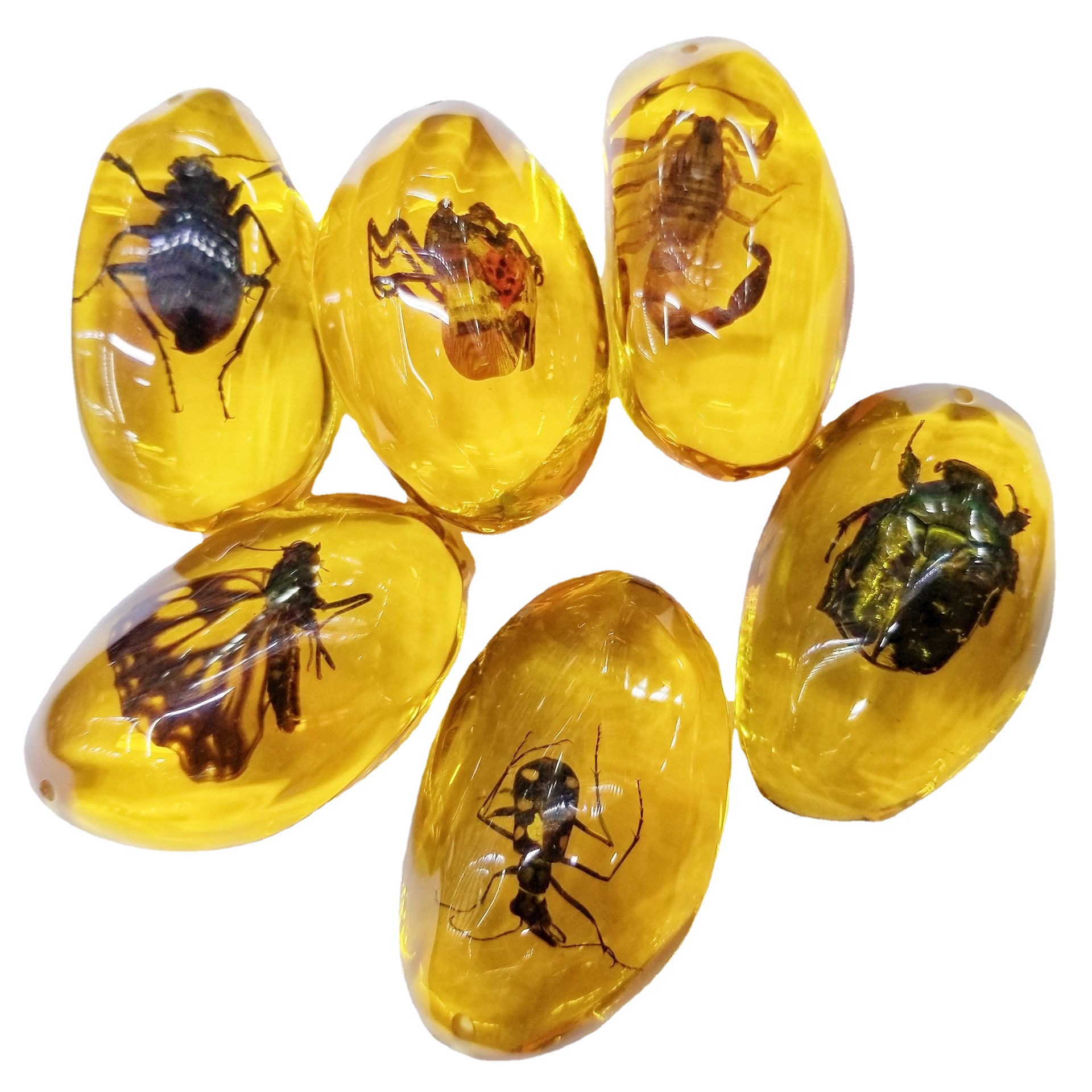 厂家直销琥珀真昆虫饰品挂件