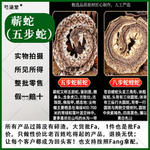 中药材正品蕲蛇 五步蛇干 八步蛇 蕲蛇干 眼镜蛇蝮蛇白花蛇药材