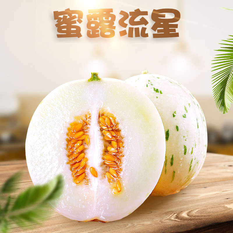 山东聊城流星蜜露甜瓜 3/5斤代发梦露香瓜当季新鲜水果月露白蜜瓜