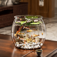 透明微景观造景塑料鱼缸耐碰耐摔瓶子多功能小型桌面球形金鱼缸瓶