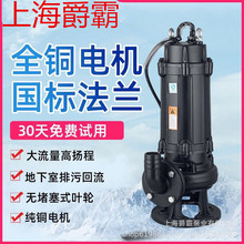 上海爵霸泵业泵业供：潜水泵，污水排水泵，自吸泵，深井泵油浸泵