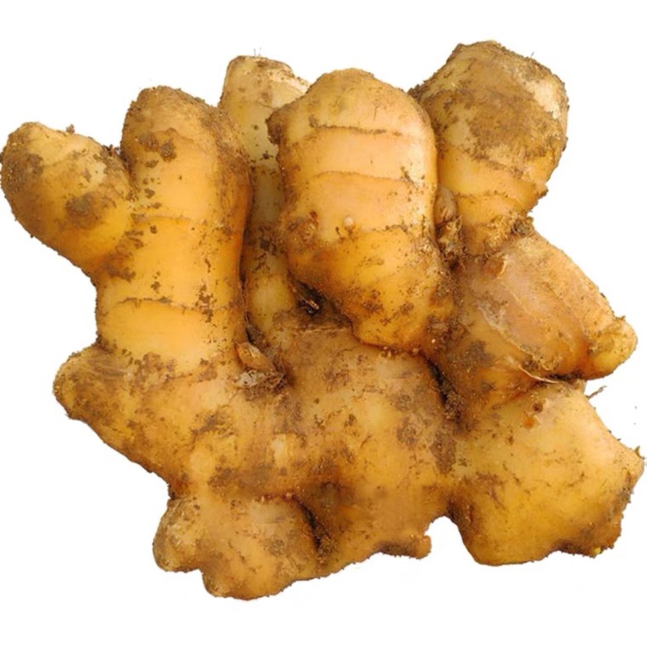 山东大姜5斤生姜一件代发新鲜蔬菜嫩姜干姜种老姜母姜块小黄姜土