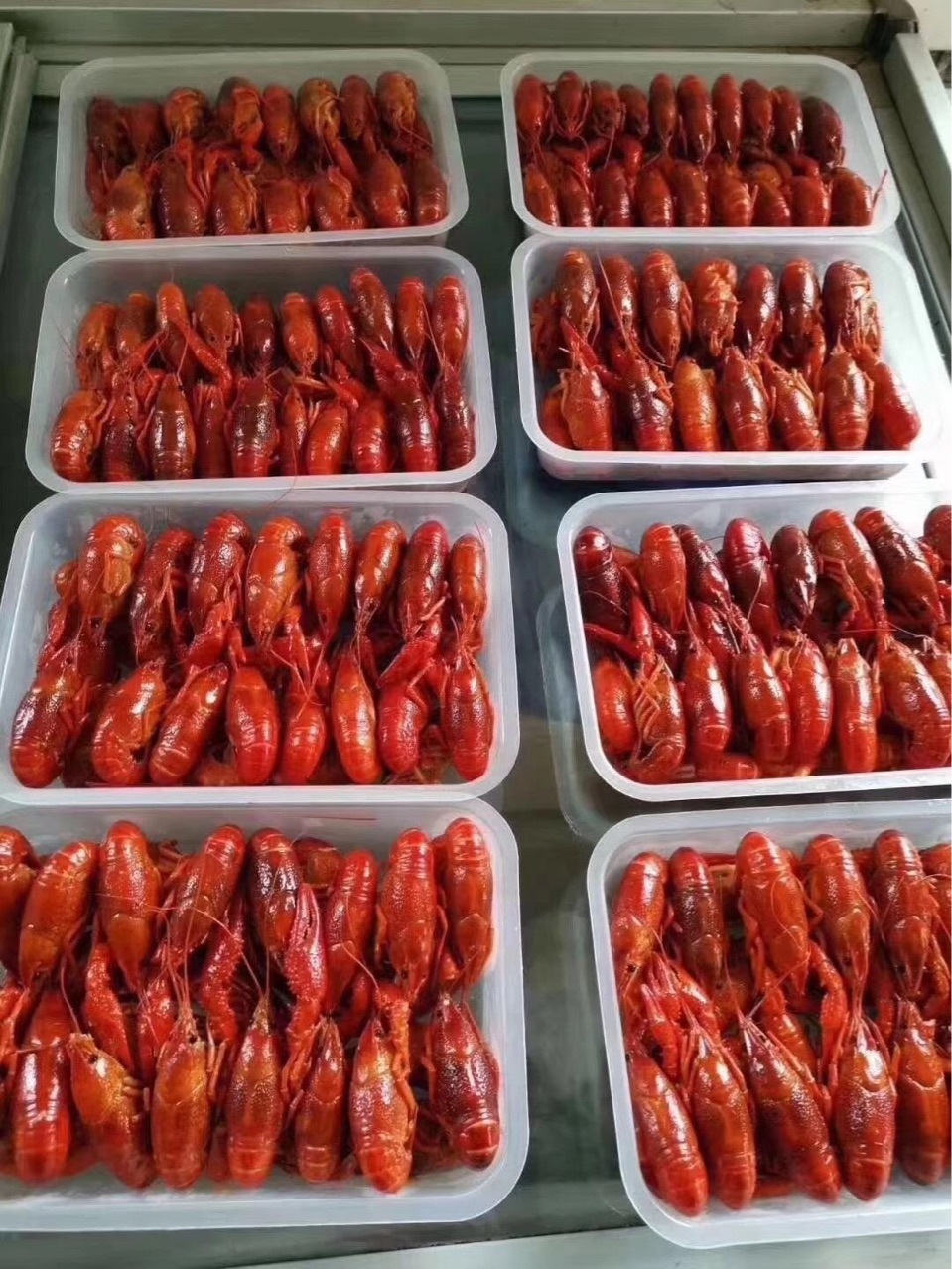 湖北小龙虾 液氮速冻批发整支原味鲜活冷冻深水虾 速冻清水小龙虾