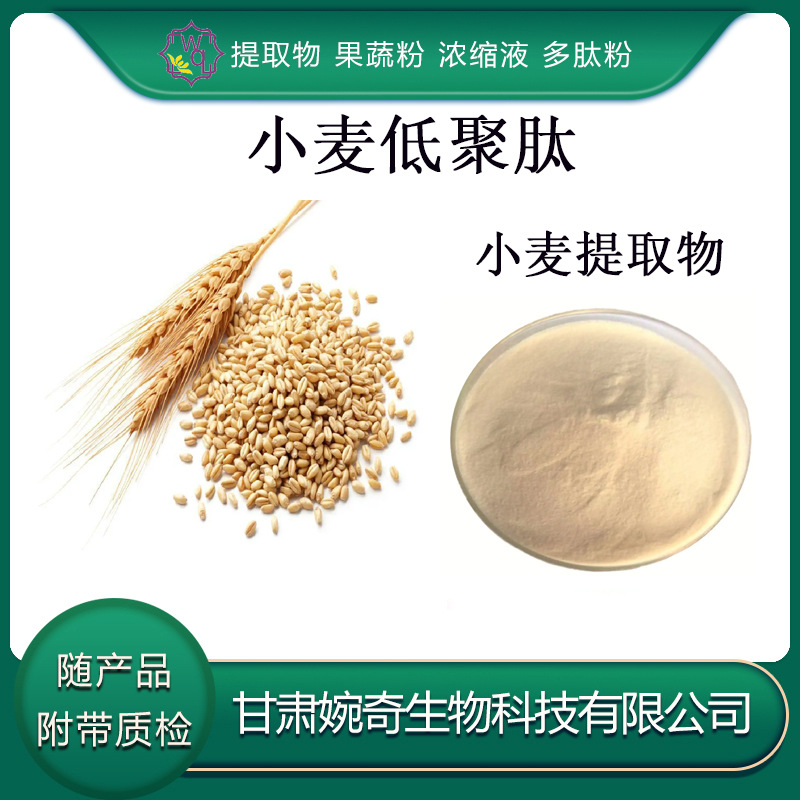 小麦低聚肽98% 800道尔顿 小麦膳食纤维 小麦提取物 小麦肽粉现货
