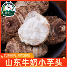 新鲜山东芋头仔现挖香芋牛奶毛芋头软糯小芋仔芋艿10斤价_阿里巴巴找