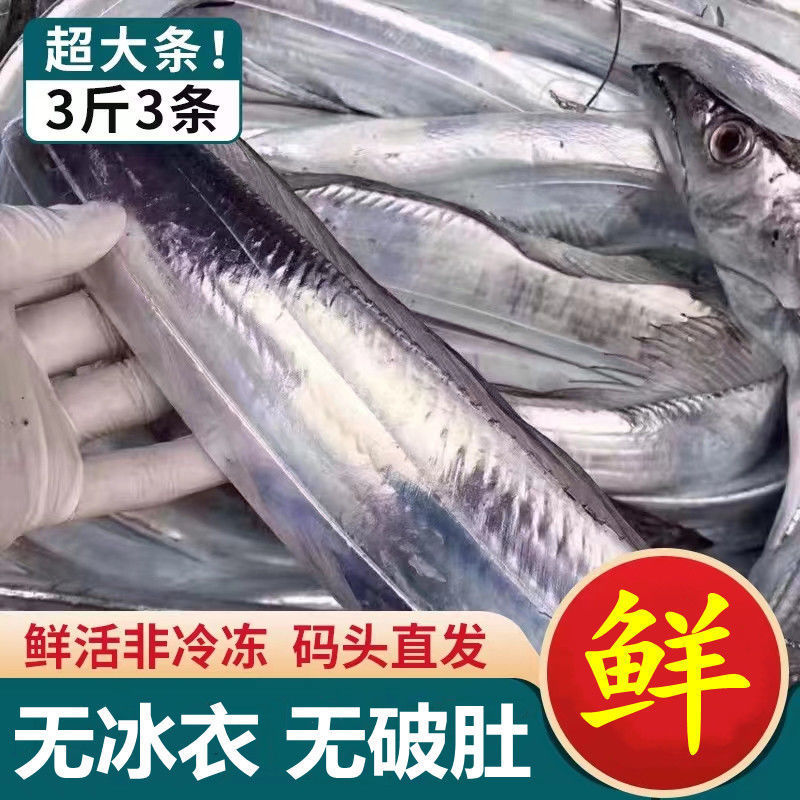 带鱼新鲜东海钓带整条无冰净重刀鱼野生整箱海鲜冷冻水产批发代发