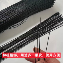 包塑铁丝扎丝绑丝花艺造型软铁丝葡萄架园林养殖固定捆绑围网扎带