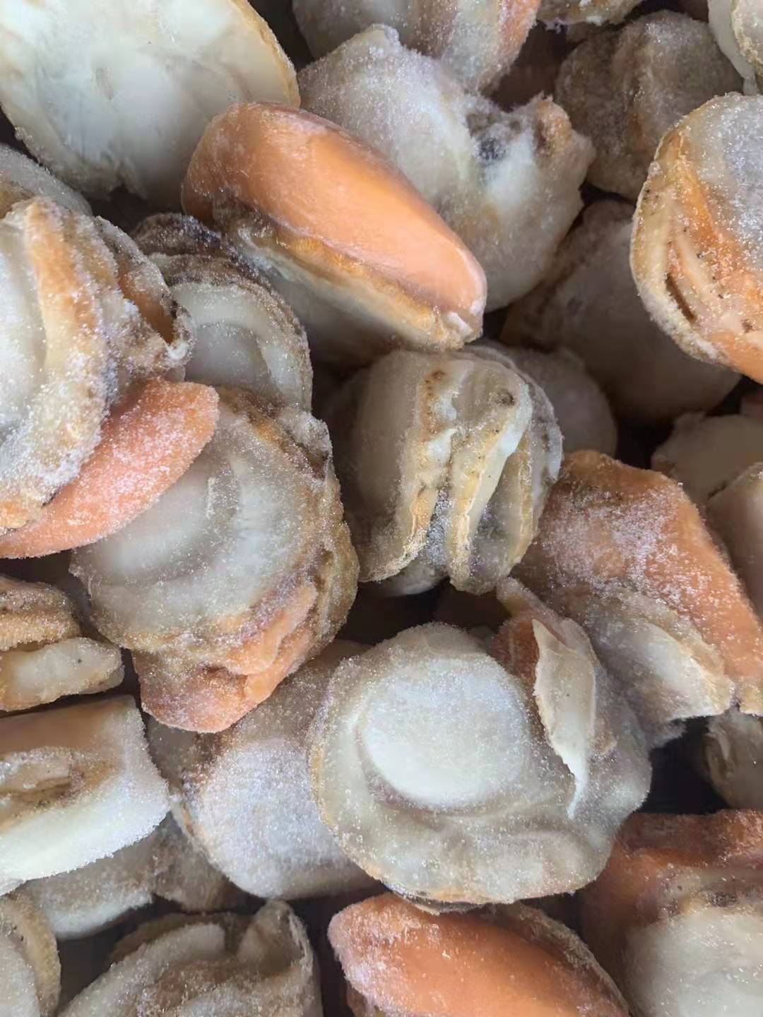 日本正关带膏帆立贝新鲜冷冻熟冻虾夷贝扇贝柱帆立贝 1公斤/包