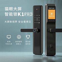 跨境指纹锁入户门K1Pro涂鸦猫眼密码锁木门家用防盗门智能电子锁