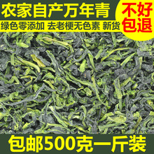 新货万年青500g干菜脱水蔬菜干青菜干橄榄菜干菜干货嫩菜心野菜干