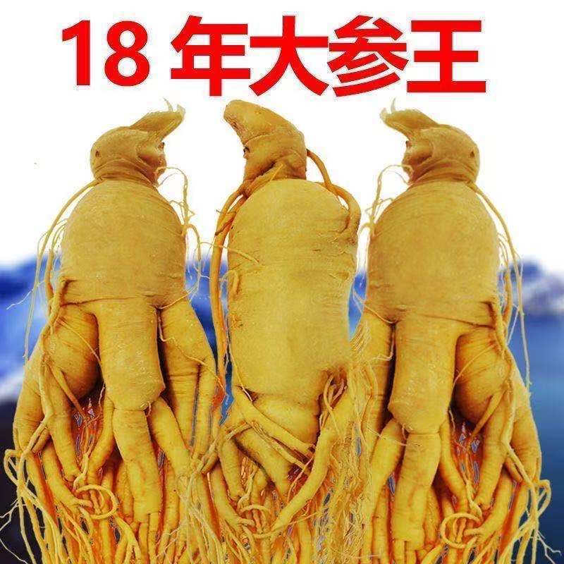 【参龄 长白山特大人参王】东北特产 送枸杞泡酒煲汤新鲜批发