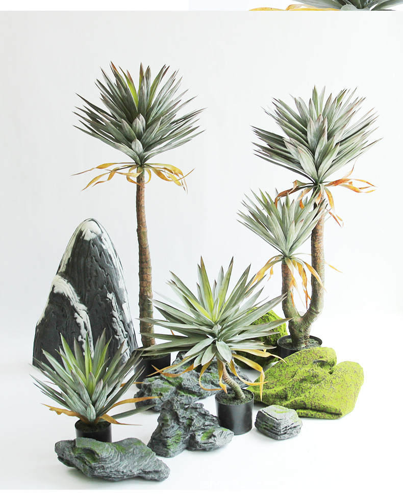 仿真龙舌兰剑兰热带雨林沙漠绿植物工程装饰造景落地摆件橱窗陈列