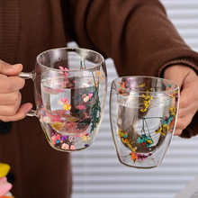 跨境耐热真花双层玻璃杯带把网红流沙玻璃杯创意高颜值家用咖啡杯