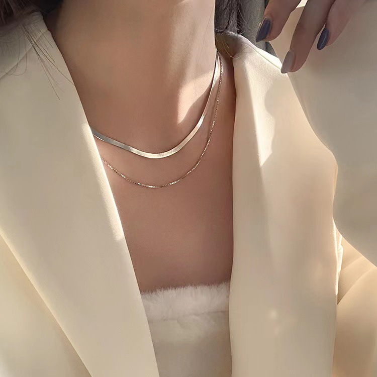 Double-Layer Snake Bones Chain Necklace Women's Flat Sterling Silver Ins Hip Hop Cool Retro Twin Simple Niche Short Necklace