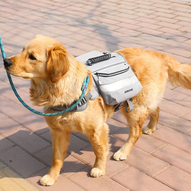 Dog Carrier Pet Dog Backpack Big Dog Golden Retriever Samoyed Border Collie Medium Large Dog Walking Dog Portable Carry Bag