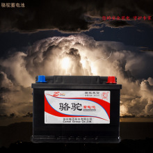 骆驼蓄电池6-QW-80（600）启动蓄电池12V80AH免维护铅酸蓄电池