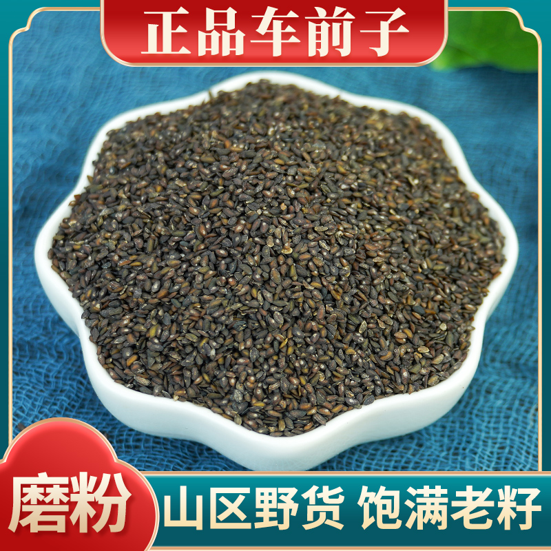 车前子中药材500克包邮 车前子籽 车前子茶 车前草籽 洋车前子籽