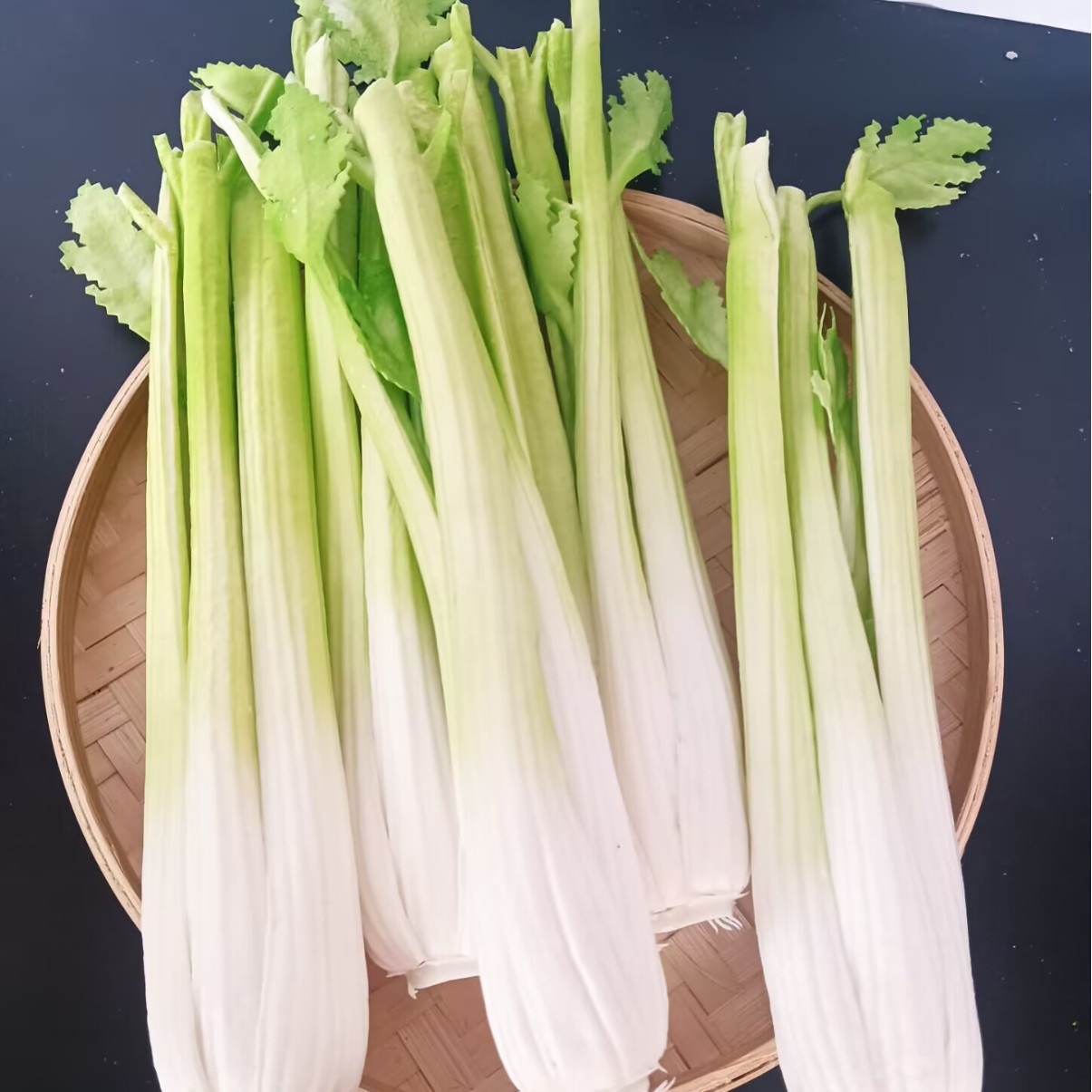 假生菜葱蒜丝瓜花菜蔬菜四季豆白菜苦瓜黄瓜茄子辣椒仿真芹菜批发