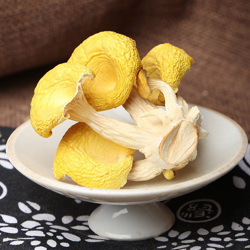 云南特产鸡油菌人工菌干蘑菇鸡油菌黄丝菌黄金菇榆黄菌菇干货批发