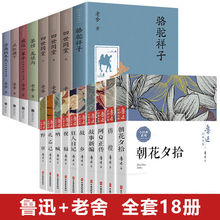 正版10册鲁迅全集原著经典全套小说朝花夕拾狂人日记课外阅读书籍