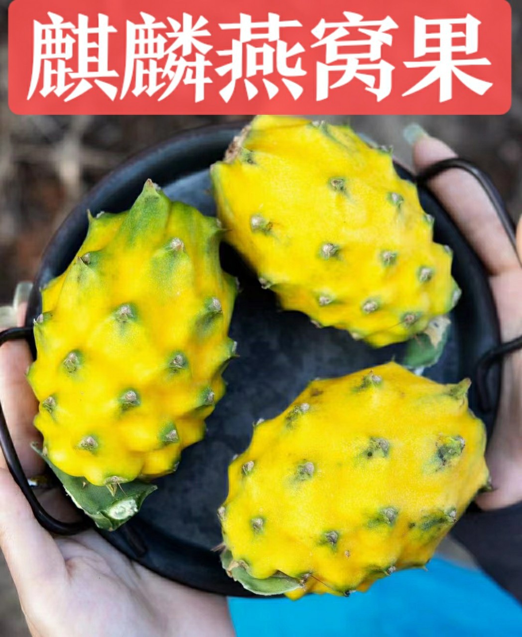 顺丰为主云南海南麒麟燕窝果大果麒麟果新鲜1-5斤黄皮火龙果整箱