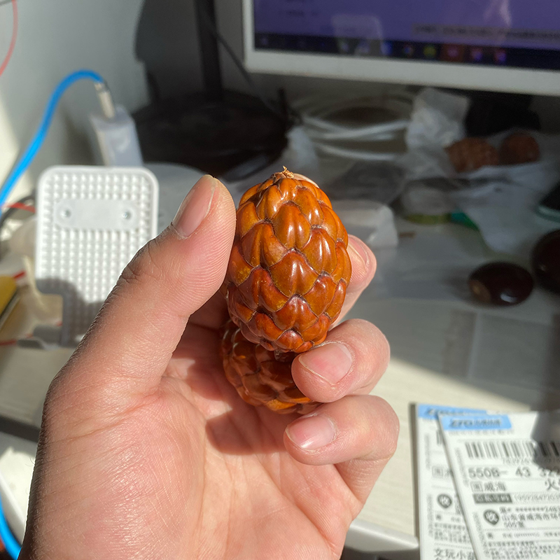 天然铁树籽菩提子龙鳞果马达加斯加果个性文玩手把件高密度盘玩