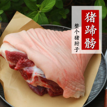 猪蹄髈 1500g 整个猪肘子 土猪肉 新鲜猪肉 整个3斤多重