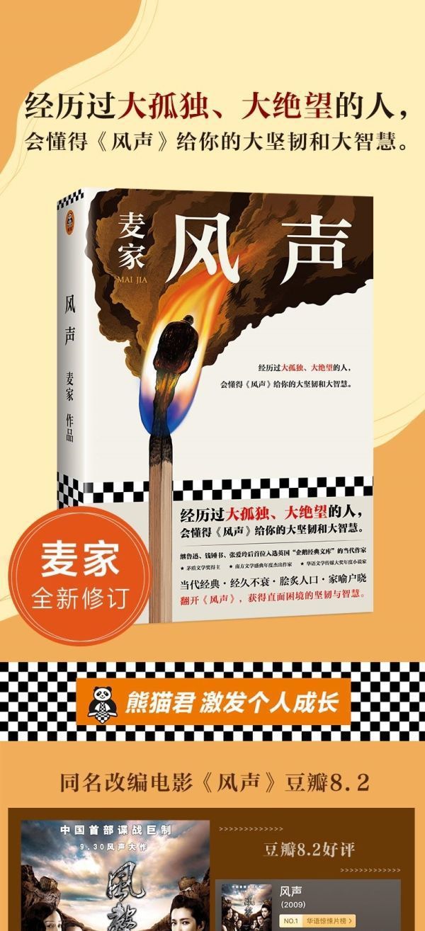 现货速发 风声 麦家著 茅盾文学奖得主人生海海作者代表作 会懂得