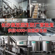 臭豆腐生胚商用批发摆摊开店专用长沙经典油炸小吃半成品湖南特产