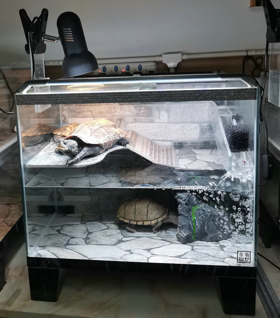 乌龟缸带晒台玻璃缸深水龟专用缸50长背滤缸缸底阀门排水