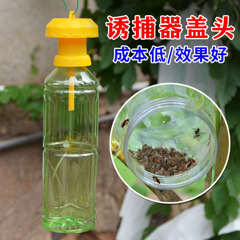 瓜果实蝇针蜂诱捕器 引诱器 瓜实蝇果实蝇针蜂捕捉器昆虫飞虫