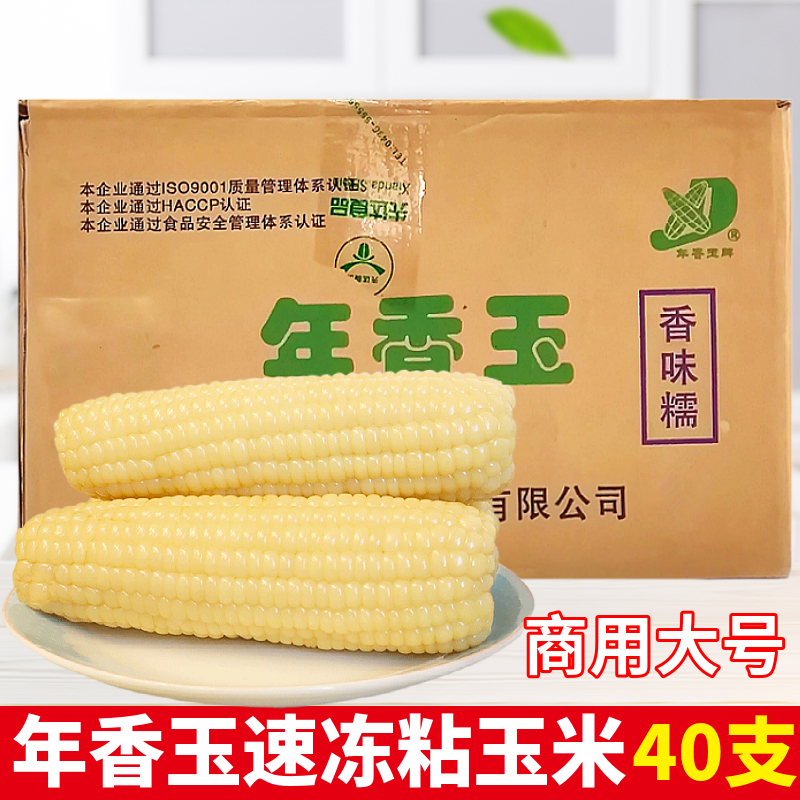 速冻粘糯玉米 东北大号糯玉米 冷冻白糯玉米棒商用玉米40支-阿里巴巴