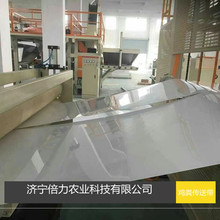 鸡粪传送带蛋鸡PP清粪带白色鸡粪带质量保证价格优惠不跑偏不打滑