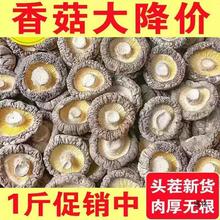 24香菇干货500g级新鲜营养农家肉厚无根干蘑菇菇冬菇香菇