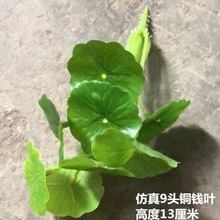 仿真花铜钱叶金钱叶金钱小荷叶假花小盆栽盆景婚庆家居摆设道具