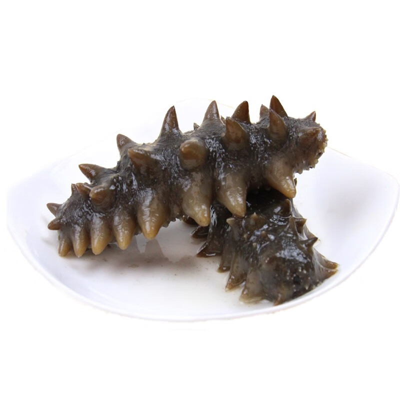 海参厂家批发 大连海参辽刺参即食海参劲道口感鲜食即食海参