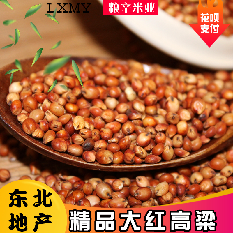 ll10斤新红高粱高粱带皮高粱米颗粒饱满酿酒喂鸽子鸽粮去壳高粱