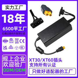 英辉源电源适配器定制XT30/XT60插头航模无人机锂电池充电用电源