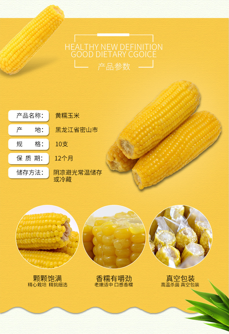 东北农家粘玉米甜糯玉米棒新鲜黏苞米粒真空黄糯粘玉米
