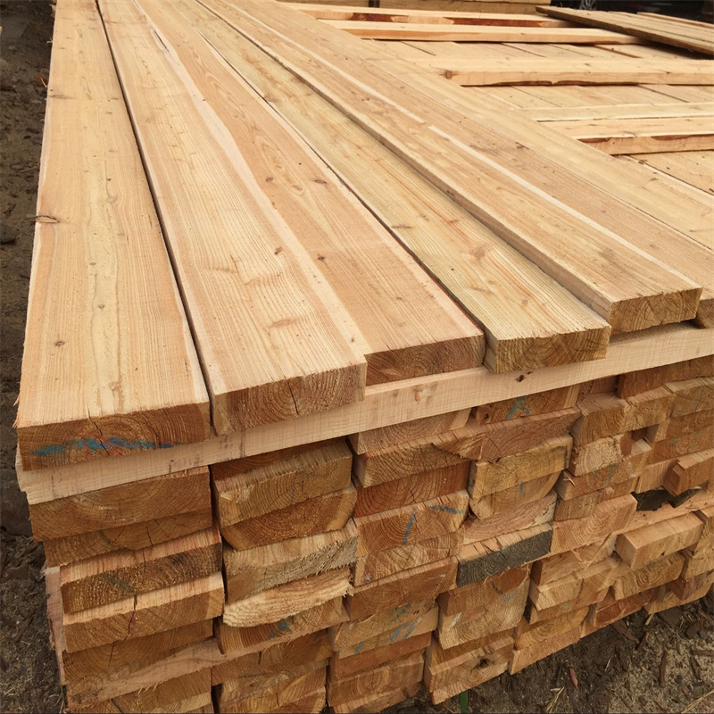 求购落叶松黄花松