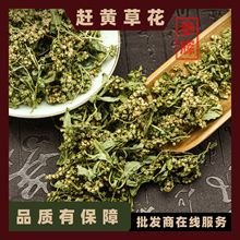 赶黄草花 批发中药材赶黄草花500g 现货批发 量大从优