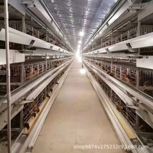 自动化蛋鸡养殖成套设备 鸡只笼子多层立体鸡笼
